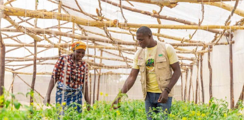 A farmer and JDPI staff inspecting crops in a BMZ-supported community greenhouse